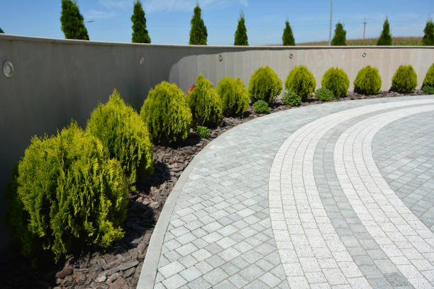 Best Professional Driveway Pavers  in Prior Lake, MN